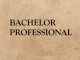 Bachelor Professional