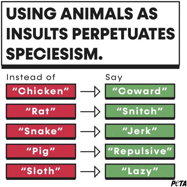 PETA Beleidigung